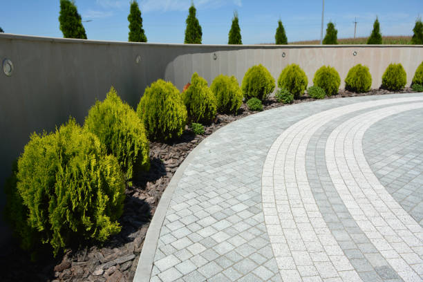 Best Driveway Pavers Installation  in Lorado City, CO