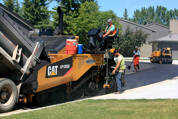 Best Cobblestone Driveway Pavers  in Lorado City, CO